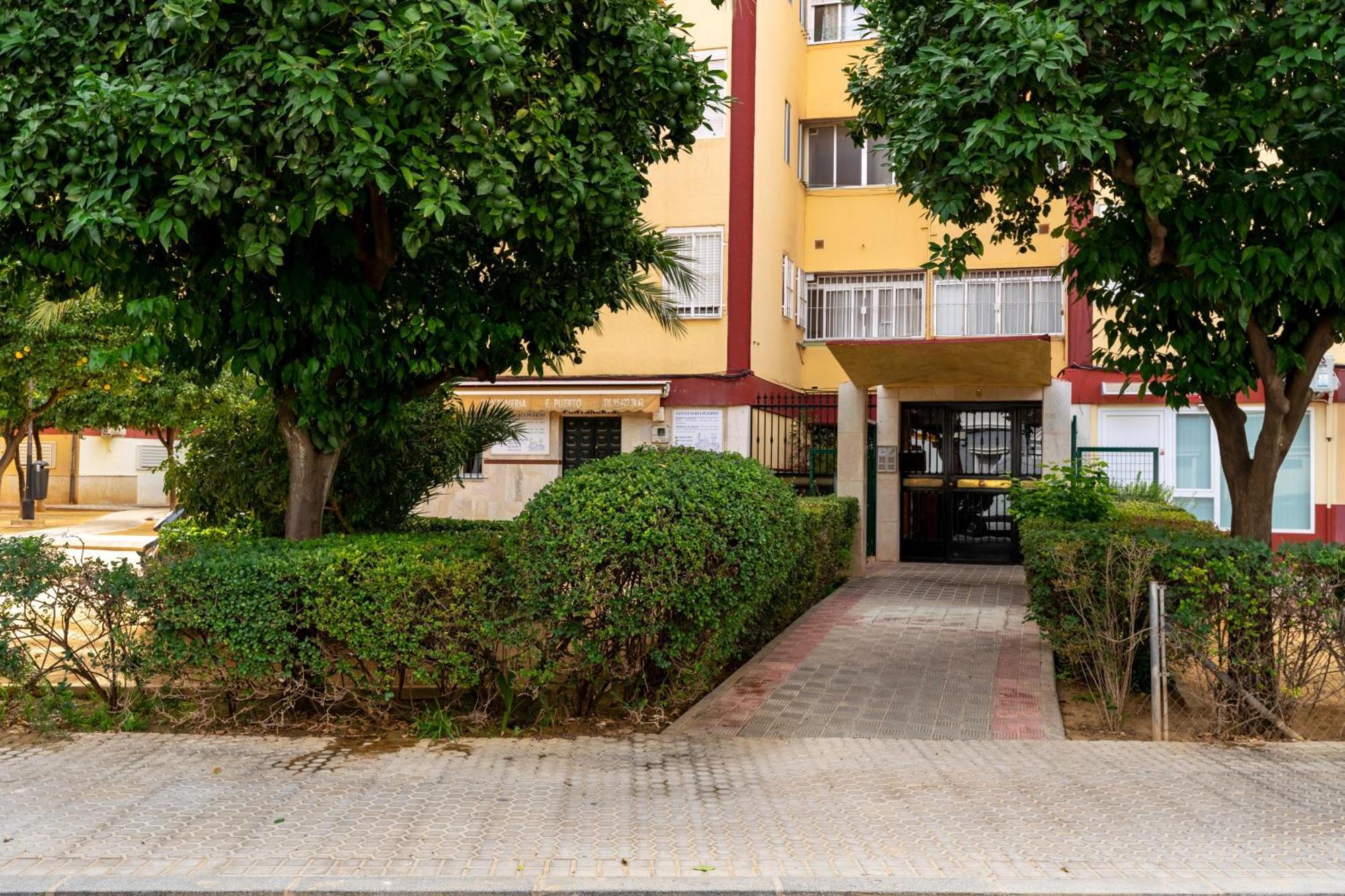 Whitey House In Triana Διαμέρισμα Σεβίλλη Εξωτερικό φωτογραφία